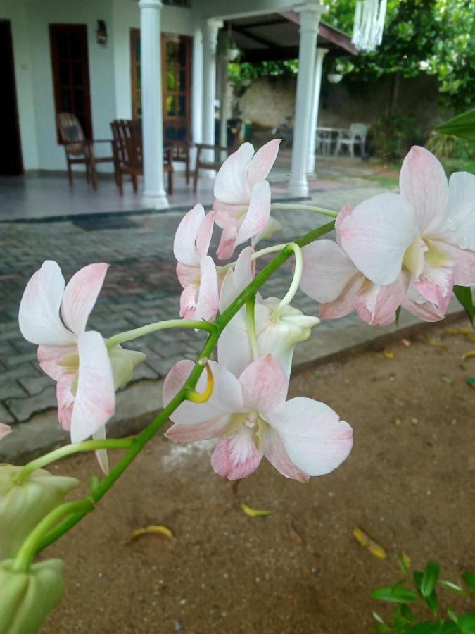 Sidhangana Home Stay Anuradhapura Eksteriør bilde