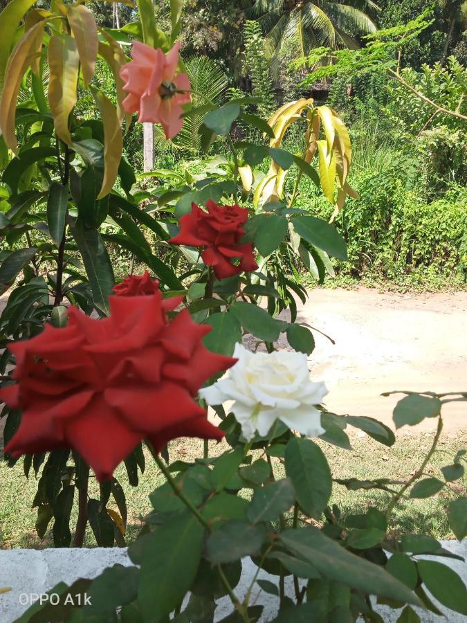 Sidhangana Home Stay Anuradhapura Eksteriør bilde