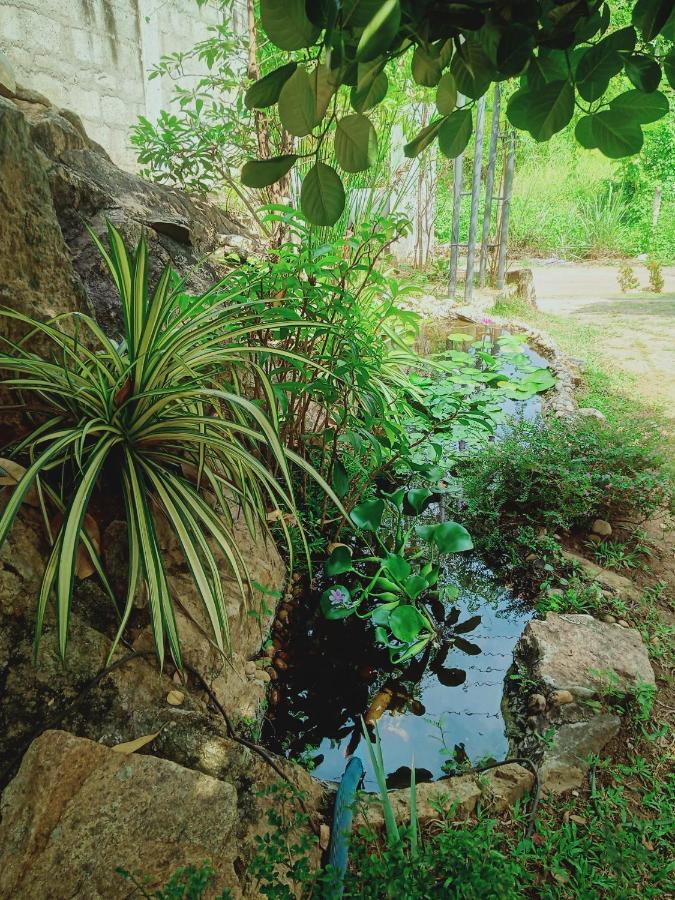 Sidhangana Home Stay Anuradhapura Eksteriør bilde