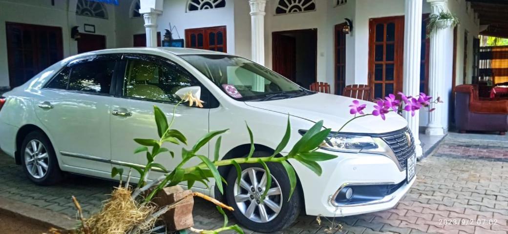 Sidhangana Home Stay Anuradhapura Eksteriør bilde