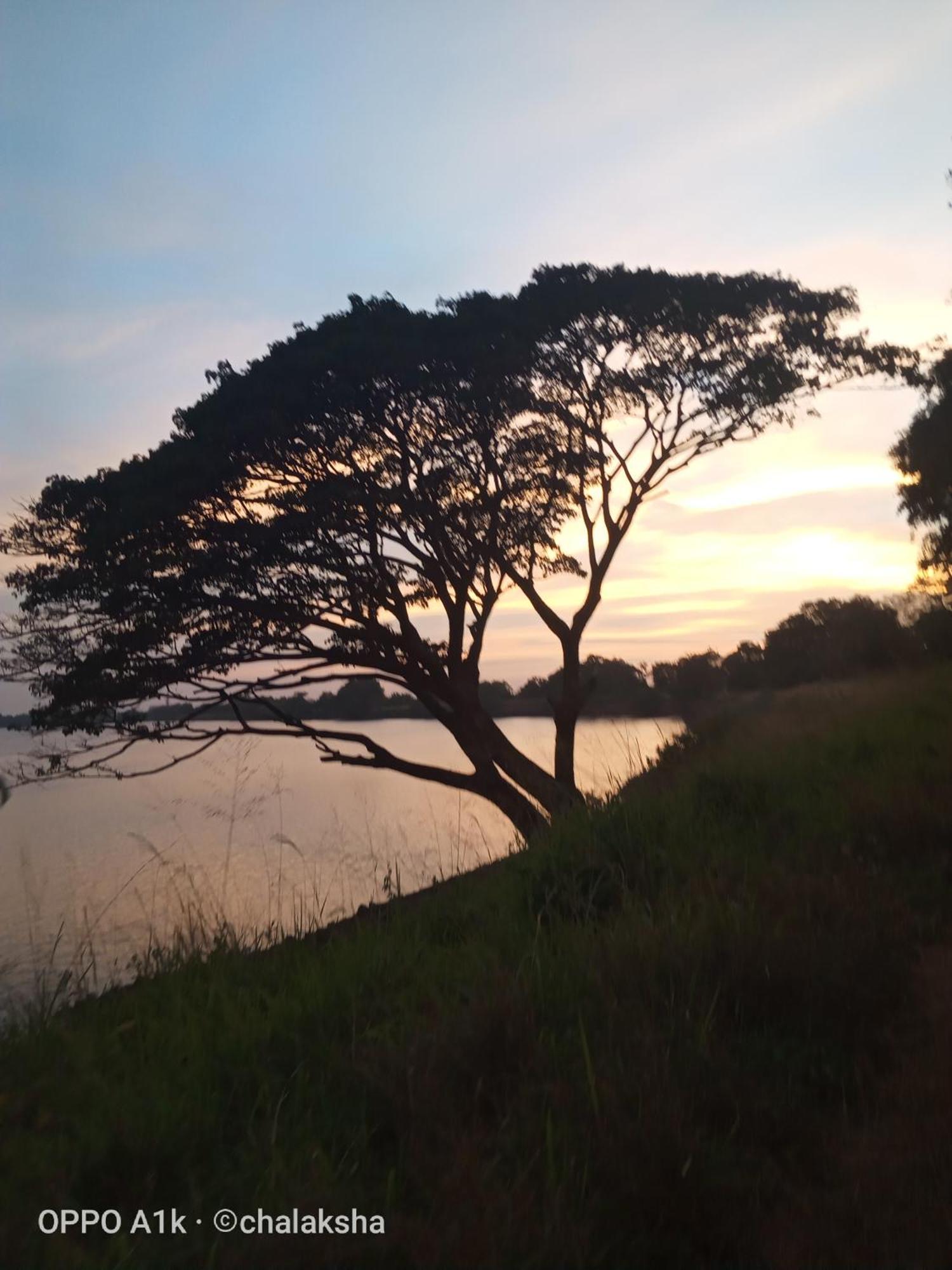 Sidhangana Home Stay Anuradhapura Eksteriør bilde