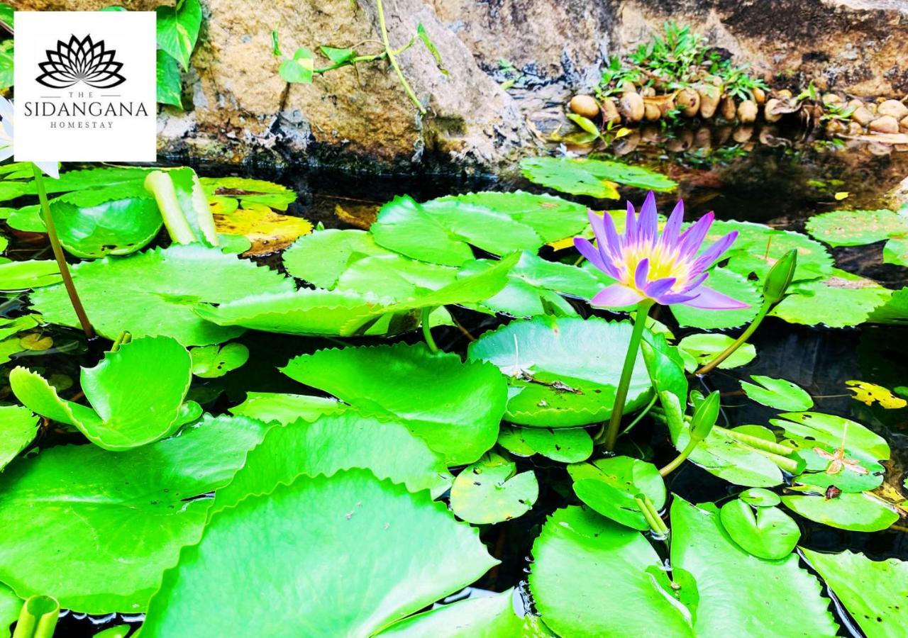 Sidhangana Home Stay Anuradhapura Eksteriør bilde
