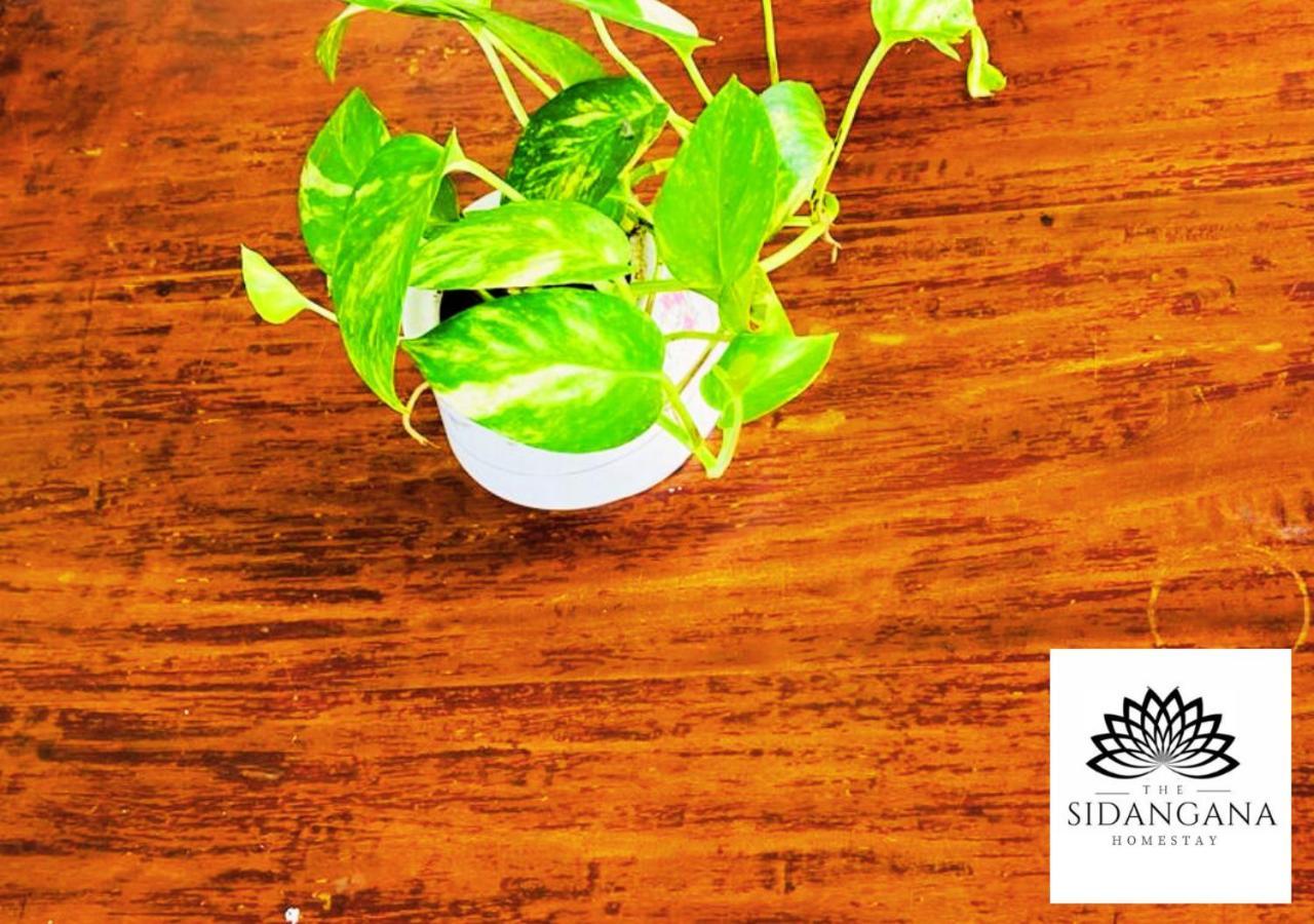 Sidhangana Home Stay Anuradhapura Eksteriør bilde